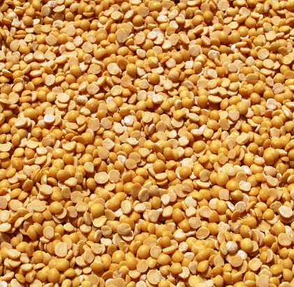 Red Gram/ Pigeonpea /Arhar/Tur