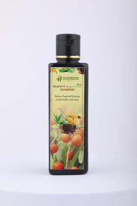NATUREMANTRA NATURAL PRODUCTS Soapnut & Aloevera Shampoo For Damaged Hair, Hair Fall Control for Thicker Hair - Mild Daily Anti Hair Fall Shampoo for Men & Women