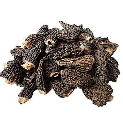 Morel Mushroom / Guchhi / Sponge Mushroom