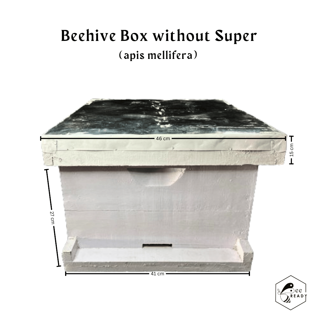 BeeReady - Honey Bee Hive Wooden Box (Apis Mellifera) - Premium Quality Apiculture Equipment