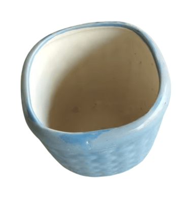 Ceramic Blue Bonsai Pot for Plants