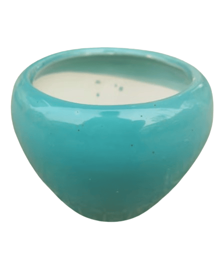 Apple Shaped Flower Pot for Home Decor and Garden