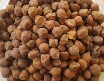 Bengal Gram Bengal Gram