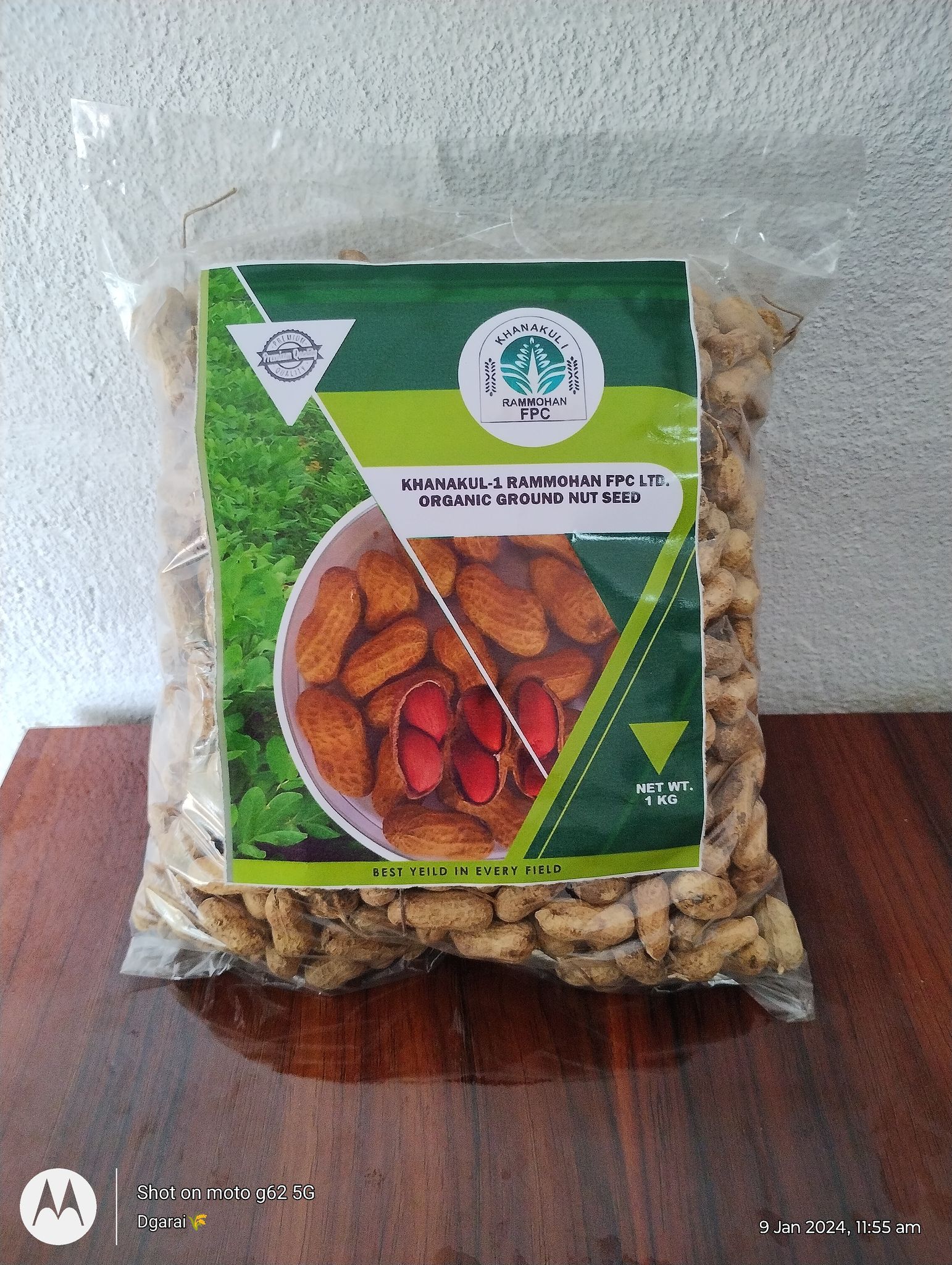 Organic Groundnut seed