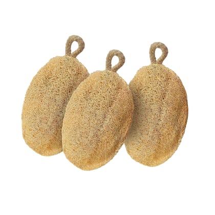 Careberry Eco Friendly Organic Loofah | Gentle Exfoliator Sun Dried Luffa | Ideal Daily Body Wash Scrub Pack of 3 Careberry Eco Friendly Organic Loofah | Gentle Exfoliator Sun Dried Luffa | Ideal Daily Body Wash Scrub Pack of 3