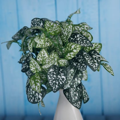 OVG Fclues Leaves Bunch Artificial Flowers 30cm Fabric and Plastic (Without Vase) for Decoration Home Decor, Living Room, Diwali, Christmas Decoration Items (Green/White) OVG Fclues Leaves Bunch Artificial Flowers 30cm Fabric and Plastic (Without Vase) for Decoration Home Decor, Living Room, Diwali, Christmas Decoration Items (Green/White)