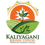 KALIYAGANJ KRISHI UDYOG PRODUCER COMPANY LIMITED