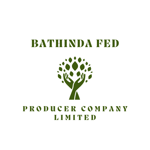 Bathinda FED Producer Company Limited