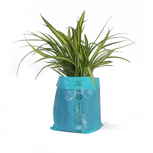 100% Compostable Plant Grow Bags - 5 x9 inches - 165 Pcs/kg I Green colour I Pack of 3 KG