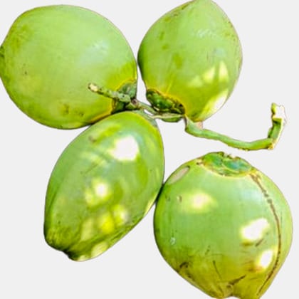 Coconut Pack of 4 (4 x 1 Kg) – Fresh, Natural & Made by Farmers | Goldfarmer Krishi Producer. 