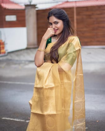 Tissue net Flower Skart Border Gold Saree. Tissue net Flower Skart Border Gold Saree.