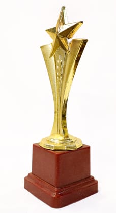 Star Artist King Trophy Golden Color Metal Brass Base Plastic