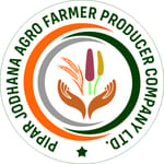 Pipar jodhana Agro Farmer producer company limited Pipar jodhana Agro Farmer producer company limited