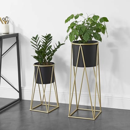 Iron Metal Planter with Stands Planters for Home, Office, Living Room, Bedroom Tall Indoor Plant Stand with Planter Pot -Set of 2 (Black) Iron Metal Planter with Stands Planters for Home, Office, Living Room, Bedroom Tall Indoor Plant Stand with Planter Pot -Set of 2 (Black)