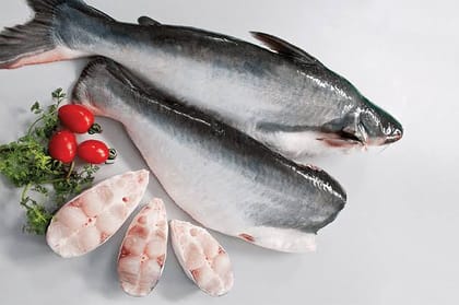 Fresh Pangassius Fish 5kg
