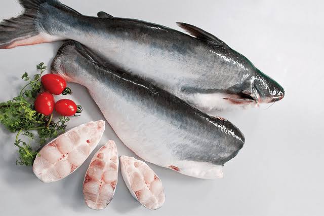 Fresh Pangassius Fish 5kg