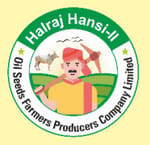 HALRAJ HANSI-II OIL SEEDS FARMERS PRODUCER COMPANY LIMITED