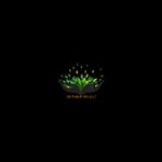 JAI THAKURDEV PRODUCER COMPANY LIMITED JAI THAKURDEV PRODUCER COMPANY LIMITED