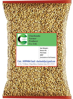 Coriander Seed  / Dhaniya / Coriandrum sativum Whole- 250 gm