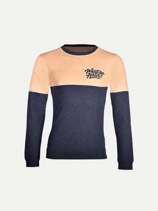Men Regular Fit Grey Colorblocked Cotton full sleeves Sweatshirt