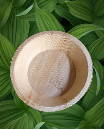 Hridya 6 inch, 100 N-Pack Areca Palm Leaf Round Plates Hridya 6 inch, 100 N-Pack Areca Palm Leaf Round Plates