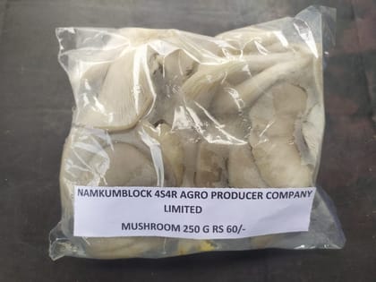 Mushroom