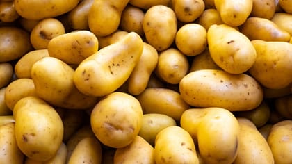 POTATO POTATO