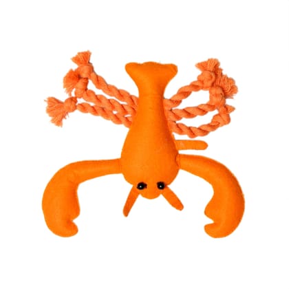 Casper's Crab-Shaped Felt Dog Toy With Rope Legs 7": Interactive Fun For Paws and Jaws! Casper's Crab-Shaped Felt Dog Toy With Rope Legs 7": Interactive Fun For Paws and Jaws!
