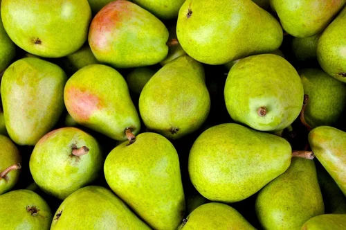 "Fresh Pears - Handpicked, Juicy, and Delicious.