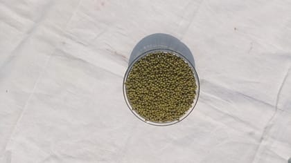 Moong