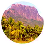 Parambunadu Farmers Producer Company Limited