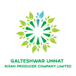 Galteshwar Unnat Kisan Producer Company Limited Galteshwar Unnat Kisan Producer Company Limited