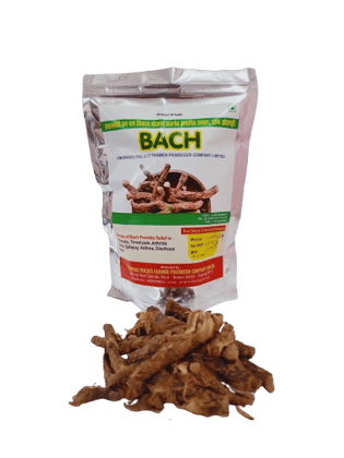 Bach (Vacha)