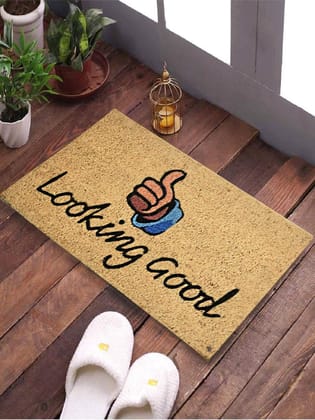 SWHF Natural Coconut Fiber Printed Doormat Mats for Front Door, Entryway Doormat with Thickened Non-Slip PVC Backing for Outdoor and Indoor Use, 14 x 24 Inch Coir Layered Door Mats for Front Porch, Looking Good