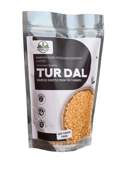 Tur dal 