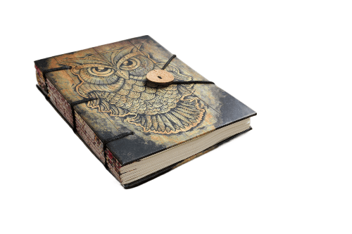PINN JKF228 owl nbk