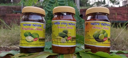 Combo Pack- Hog Plum, Lemon & Mango Pickle