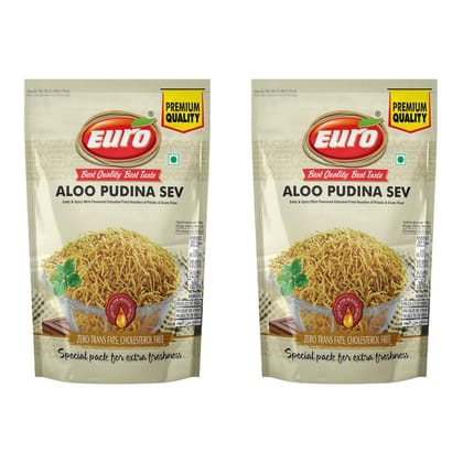 EURO Pudina Sev Namkeen 350GM | Authentic Taste, Traditional Recipe | Indian Snacks