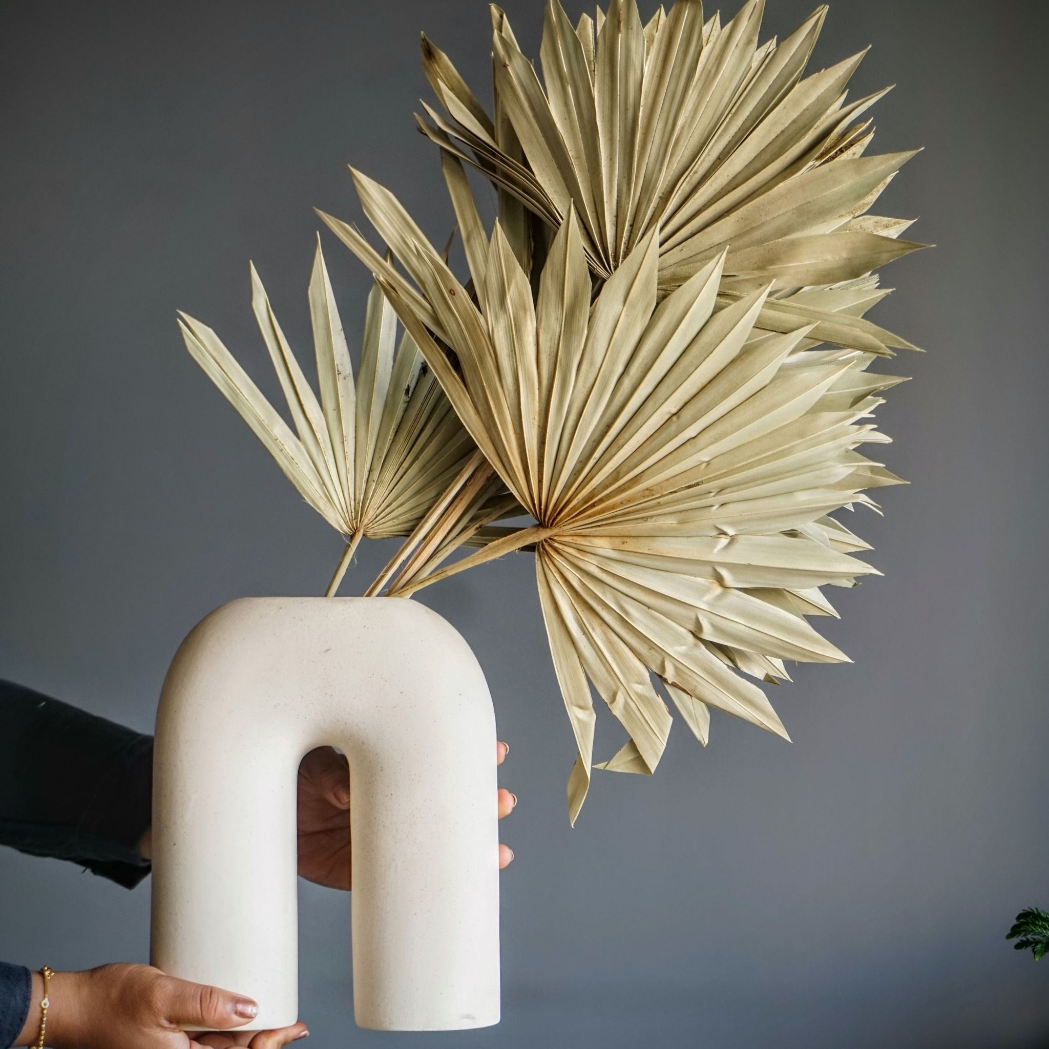 Natural Dried Palm Leaf Bunch (10 Leaves)