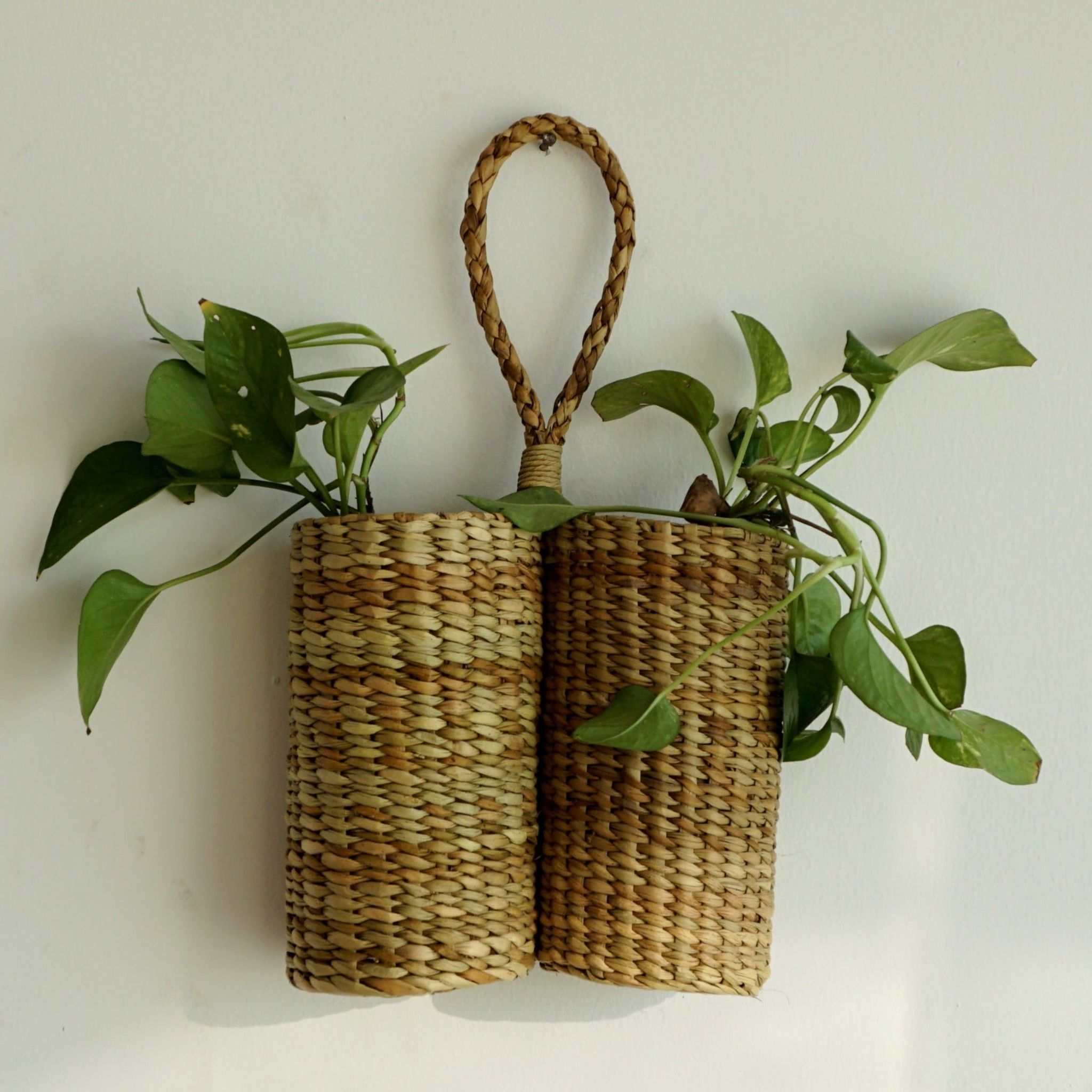 Kauna Grass Dual Sided Planter