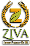 Ziva Farmer Producer Company Limited