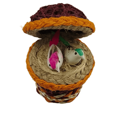 Basket Shell Bird Nest
