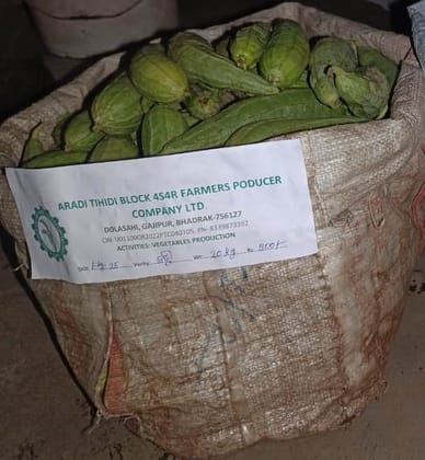 Ridge gourd