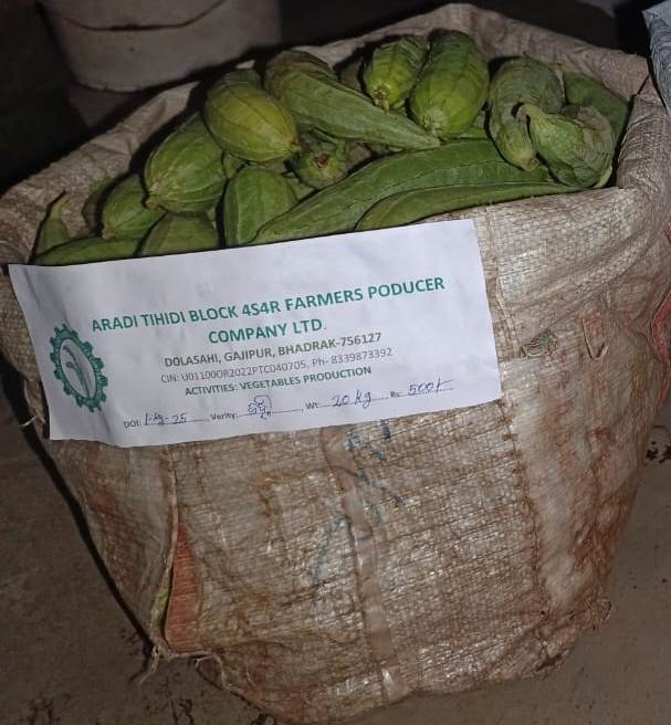 Ridge gourd
