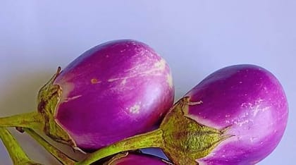 Brinjal