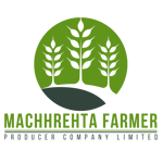 Machhrehta Farmer Producer Company Limited Machhrehta Farmer Producer Company Limited