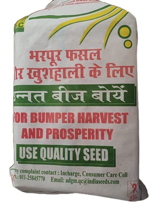 NSC Sweet Potato Bhu Krishna Variety -100 vines