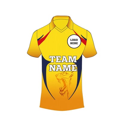 Next Print Men`s Kabaddi Sports Jersey with Team Name, Name and Number | Men`s Kabaddi T-Shirt with Your Name | Kabaddi Shirt with Your Name 1819431767