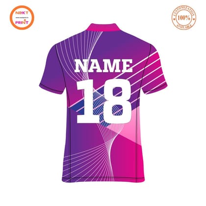 Next Print Men's Cricket Sports Jersey with Team Name, Name and Number | Men's Cricket T-Shirt with Your Name Printed | Cricket Shirt Sublimation with Your Name1925106728