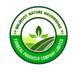 BRIJROOT NATURE NAVKRISHAK FARMERS PRODUCER COMPANY LIMITED BRIJROOT NATURE NAVKRISHAK FARMERS PRODUCER COMPANY LIMITED